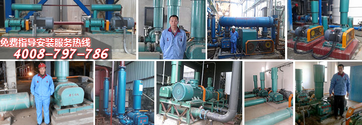 曝气糖心VIONGAPP风机使用现场 曝气糖心VIONGAPP风机使用现场