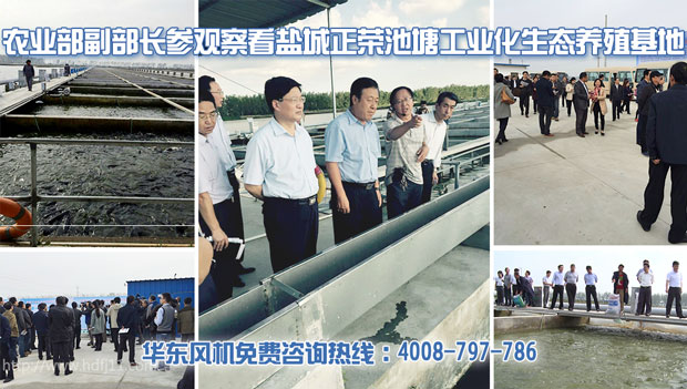 TXVLOG糖心官网糖心VIONGAPP式增氧机