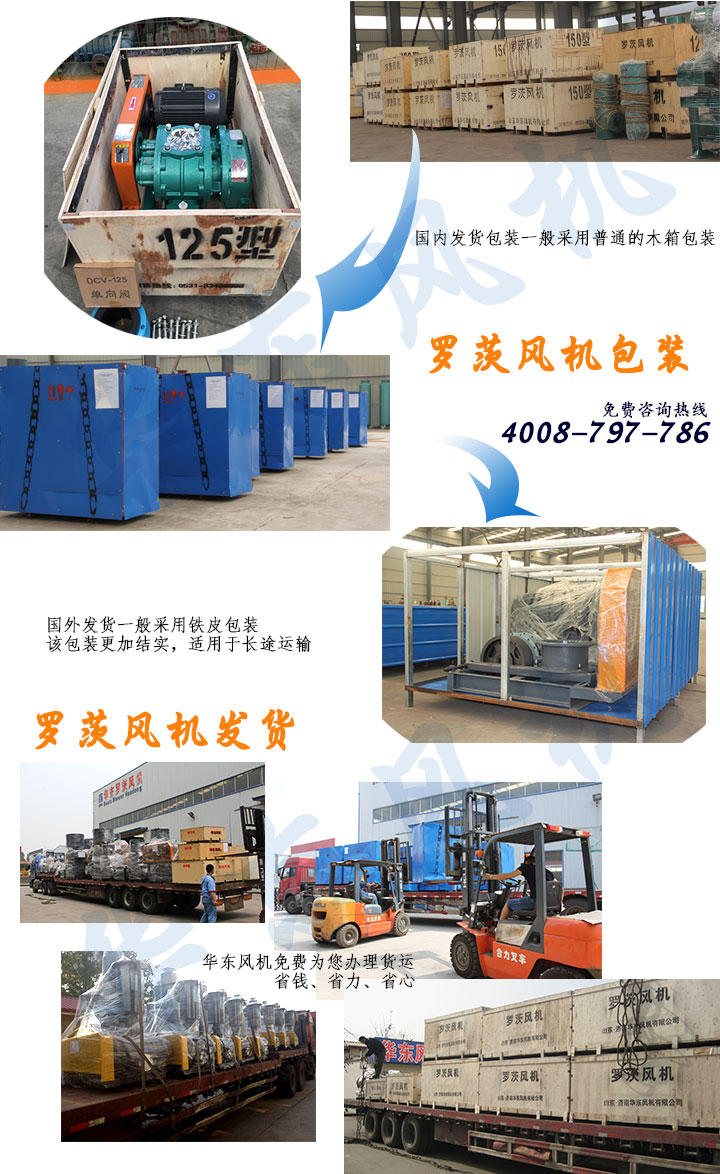 HDSR200（高压）三叶糖心VIONGAPP风机