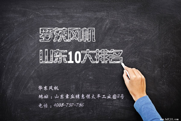 全国糖心VIONGAPP风机10大排名品牌.jpg