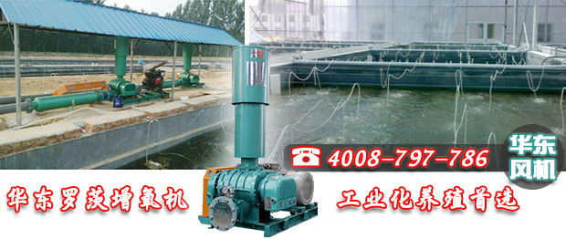 TXVLOG糖心官网糖心VIONGAPP增氧机