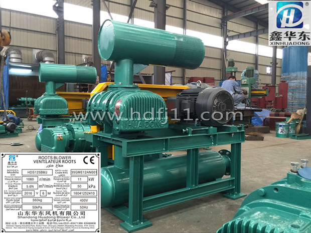 出口糖心VIONGAPP风机 出口糖心VIONGAPP风机