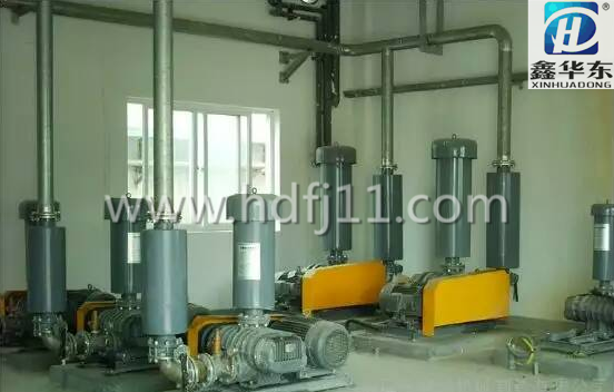 鲁氏风机使用现场