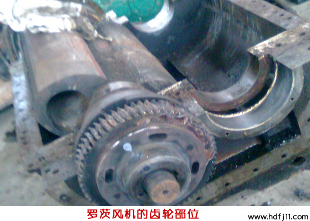 二叶糖心VIONGAPP风机拆装