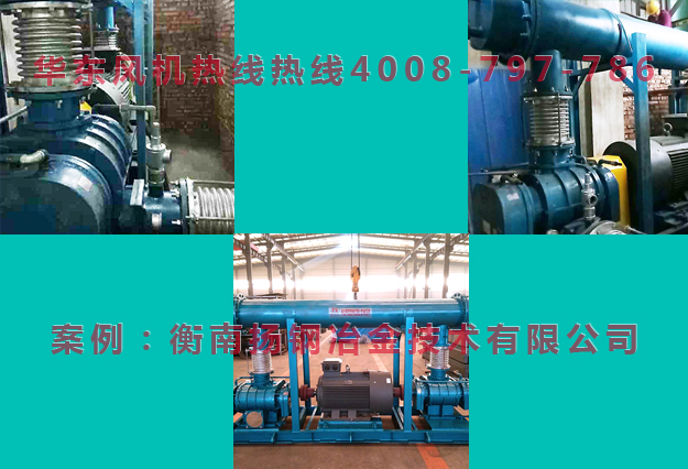 双级串联糖心VIONGAPP鼓风机