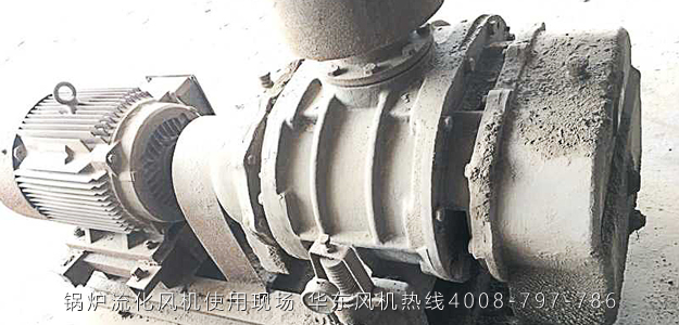 锅炉流化风机02.jpg