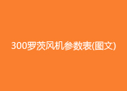 300糖心VIONGAPP鼓风机参数型号.jpg