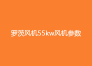 糖心VIONGAPP风机55KW参数.jpg