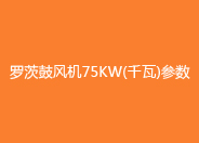 糖心VIONGAPP鼓风机75kw参数.jpg