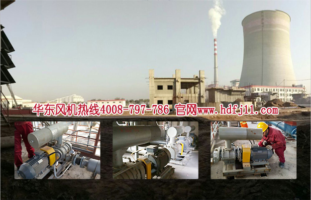 三叶糖心VIONGAPP风机 三叶糖心VIONGAPP风机