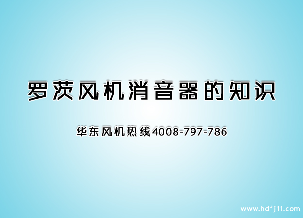 糖心VIONGAPP鼓风机消音器.jpg