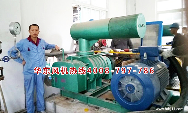 三叶糖心VIONGAPP风机