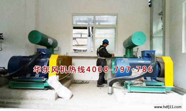 三叶糖心VIONGAPP风机