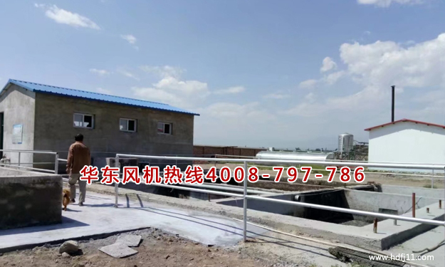 糖心VIONGAPP风机