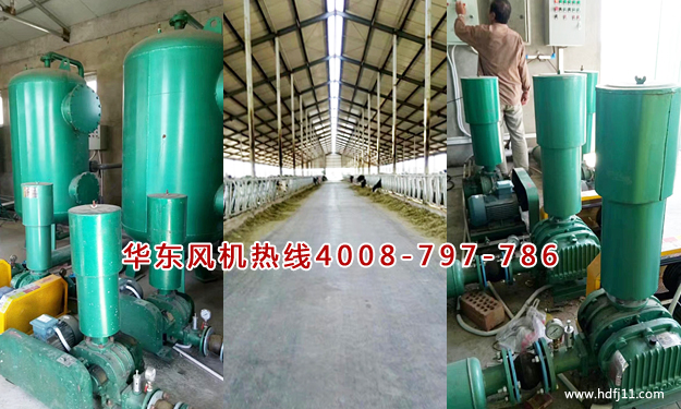 养殖行业用糖心VIONGAPP风机