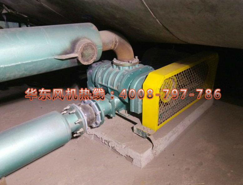 三叶糖心VIONGAPP风机 三叶糖心VIONGAPP风机