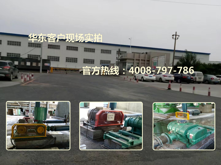 三叶糖心VIONGAPP风机 三叶糖心VIONGAPP风机