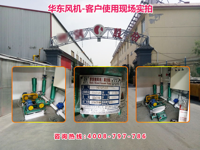 三叶糖心VIONGAPP风机