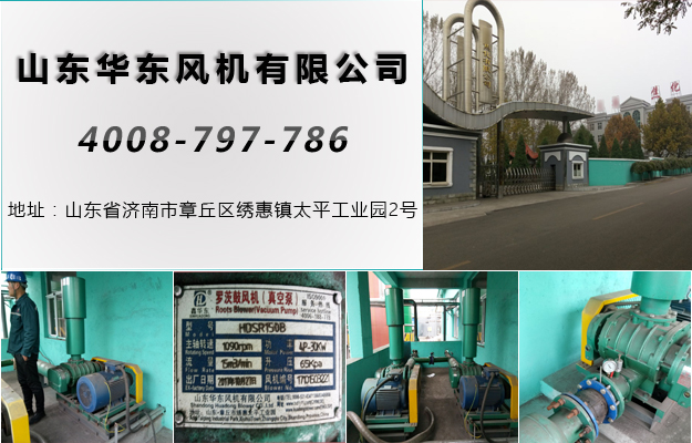 三叶糖心VIONGAPP风机