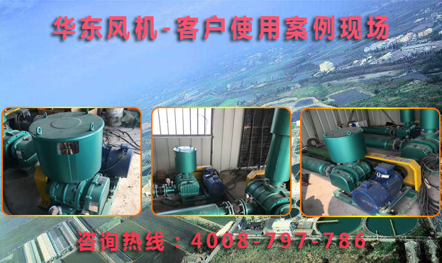 三叶糖心VIONGAPP风机