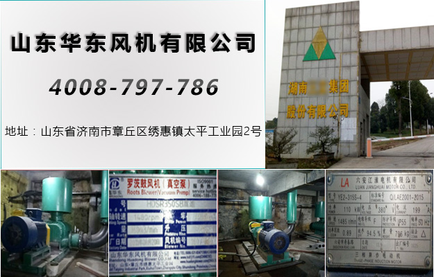 三叶糖心VIONGAPP风机 三叶糖心VIONGAPP风机