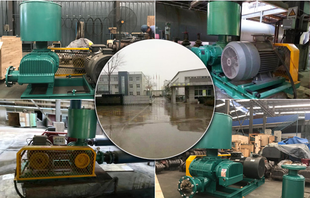 三叶糖心VIONGAPP风机 三叶糖心VIONGAPP风机