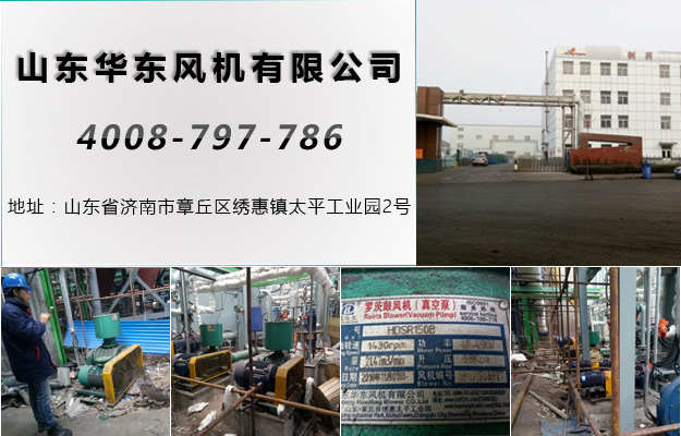 三叶糖心VIONGAPP风机 三叶糖心VIONGAPP风机