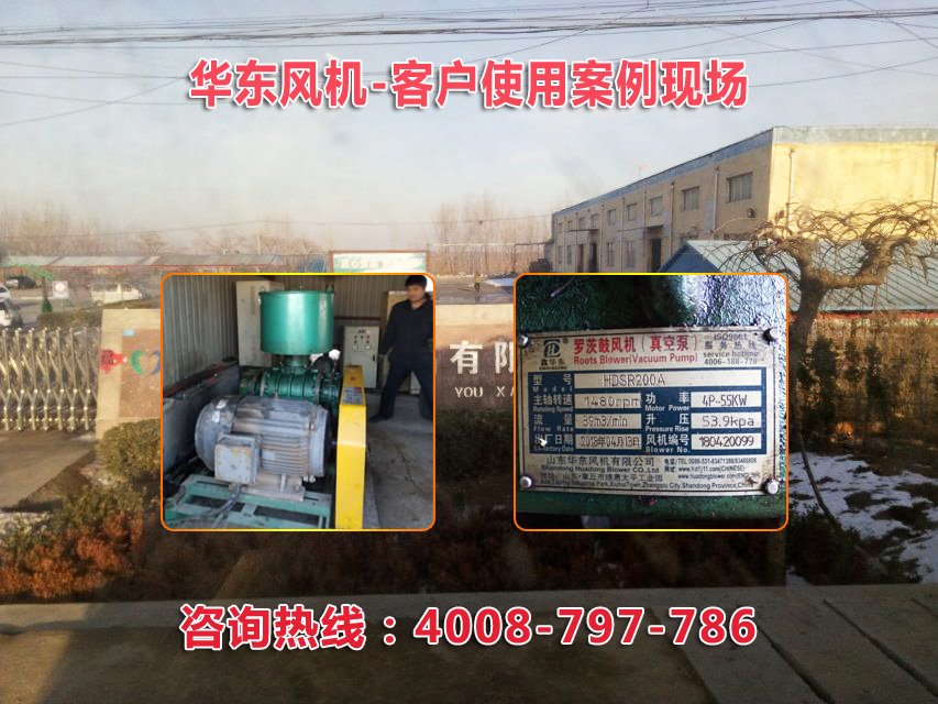 三叶糖心VIONGAPP风机 三叶糖心VIONGAPP风机