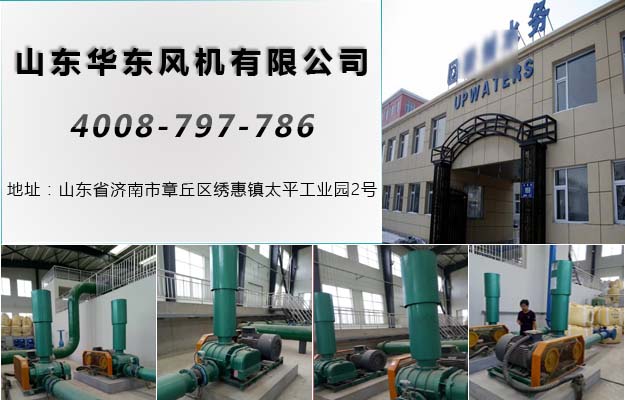 曝气风机 曝气风机