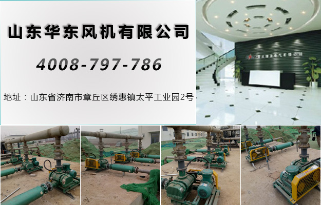 糖心VIONGAPP风机