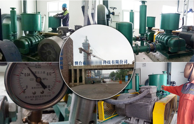 三叶糖心VIONGAPP风机 三叶糖心VIONGAPP风机