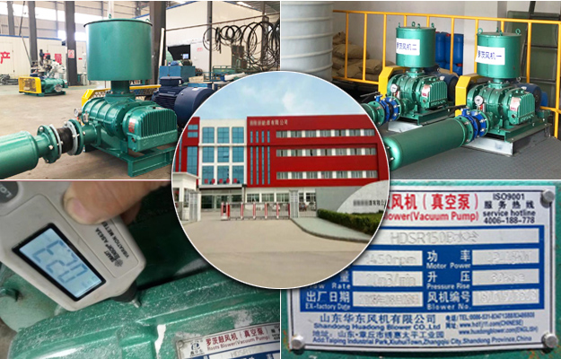 三叶糖心VIONGAPP风机 三叶糖心VIONGAPP风机