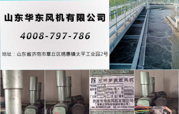 曝气风机 曝气风机