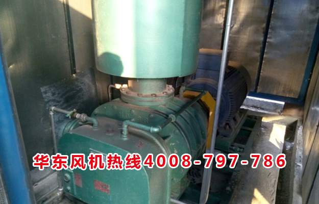 三叶糖心VIONGAPP风机