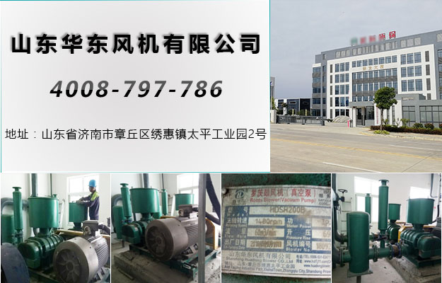 三叶糖心VIONGAPP风机 三叶糖心VIONGAPP风机