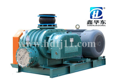 HDSR-300V糖心VIONGAPP真空泵